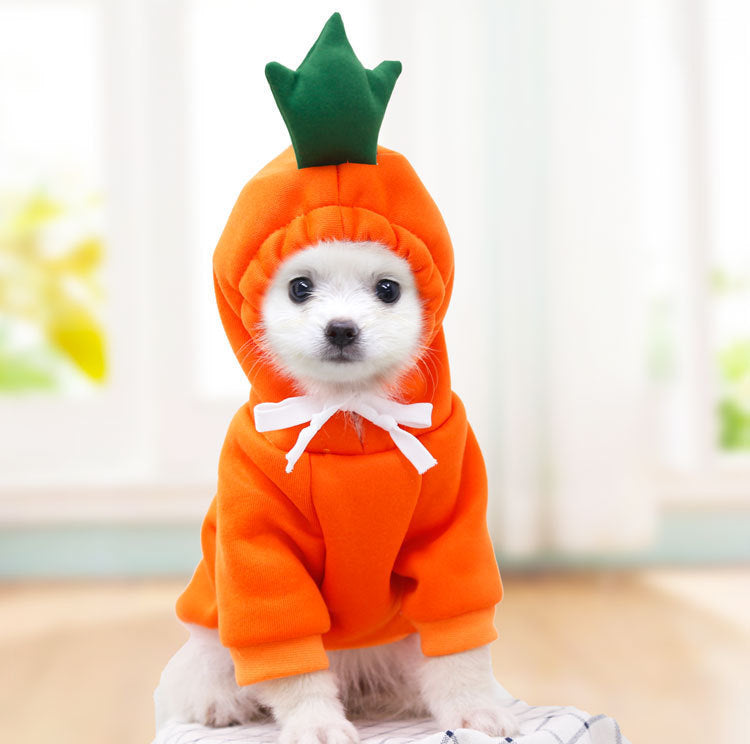 Adorable Warmth – Fruit Pet Hoodies