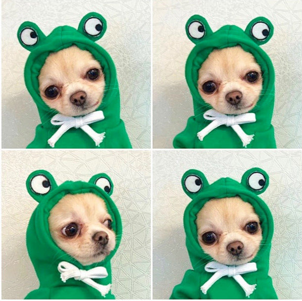 Adorable Warmth – Fruit Pet Hoodies