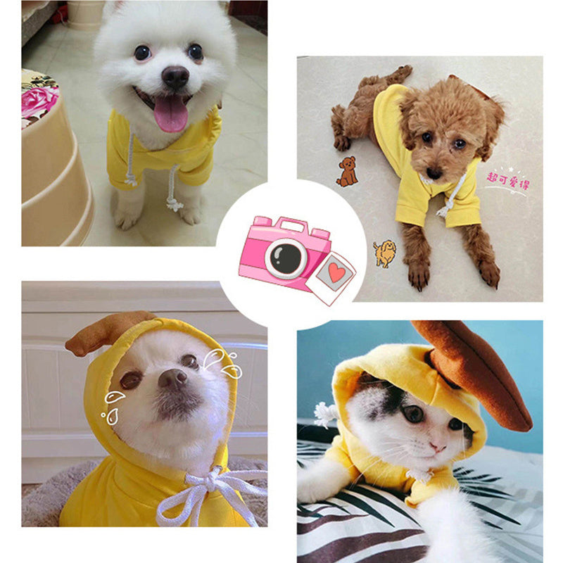 Adorable Warmth – Fruit Pet Hoodies