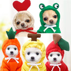 Adorable Warmth – Fruit Pet Hoodies